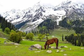 Serene Lake To Himalayan Views